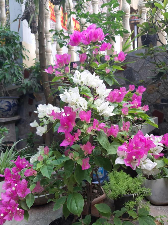 Mai Place Homestay Ninh Binh Exterior foto